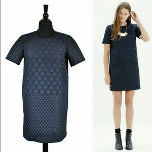 Madewell poka dot structured tee dress